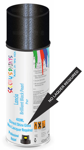 paint for Lancia Voyager