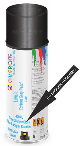 paint for Lancia Voyager