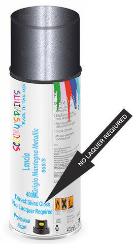 paint for Lancia Musa