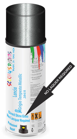 paint for Lancia Delta
