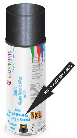paint for Lancia Thesis