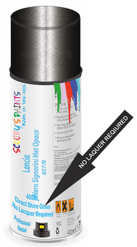 paint for Lancia Ypsilon Momodesign