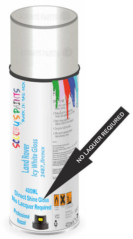 paint for Land Rover Discovery Sport