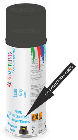 paint for Lexus Gs300
