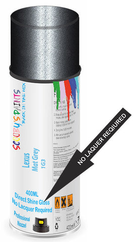 paint for Lexus Es300