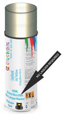 paint for Leyland All