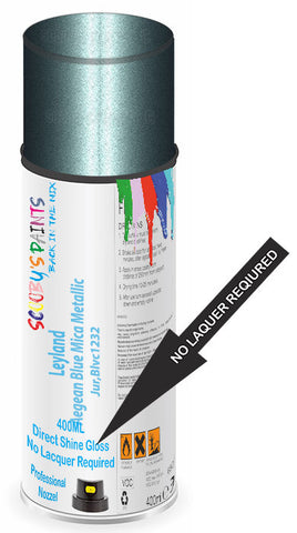 paint for Leyland All