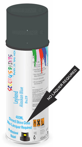 paint for Leyland All