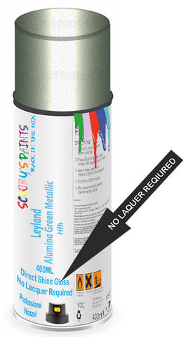paint for Leyland All