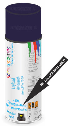 paint for Leyland All