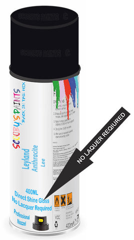 paint for Leyland All