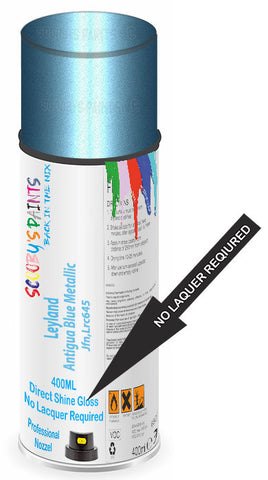 paint for Leyland All