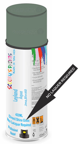 paint for Leyland All