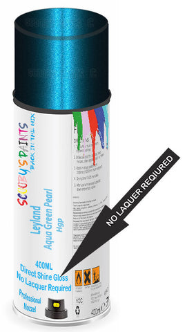 paint for Leyland All