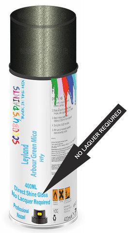 paint for Leyland All