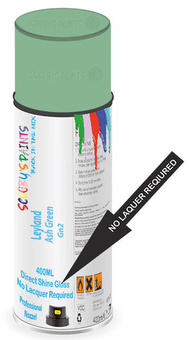 paint for Leyland All