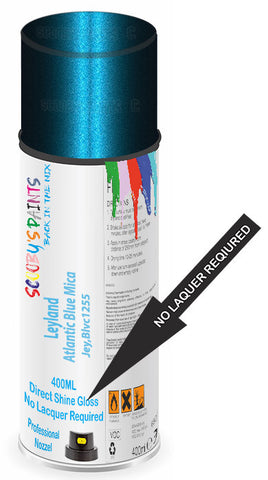 paint for Leyland All
