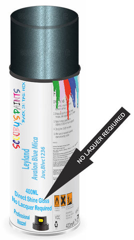 paint for Leyland All