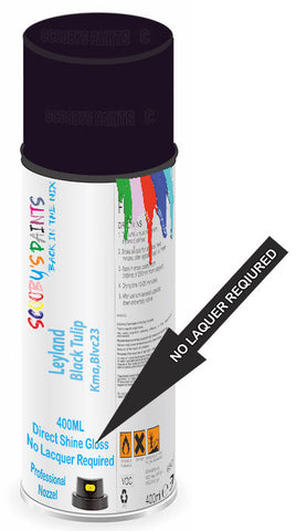 paint for Leyland All