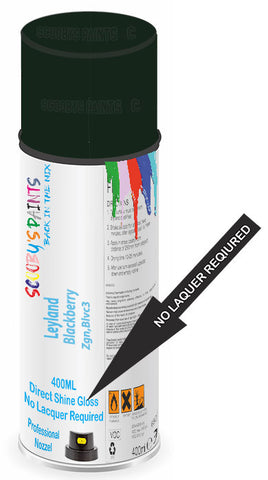 paint for Leyland All
