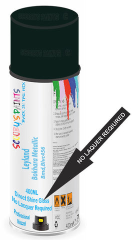 paint for Leyland All