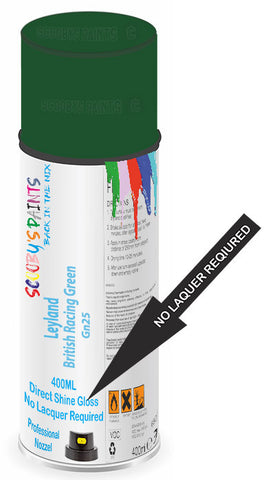 paint for Leyland All
