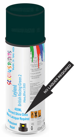 paint for Leyland All