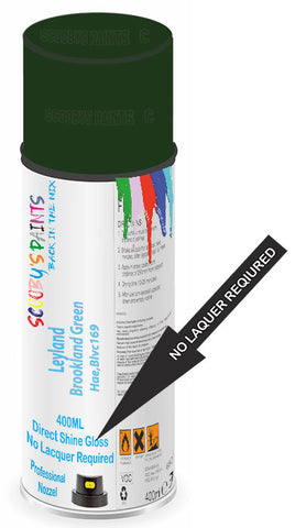 paint for Leyland All