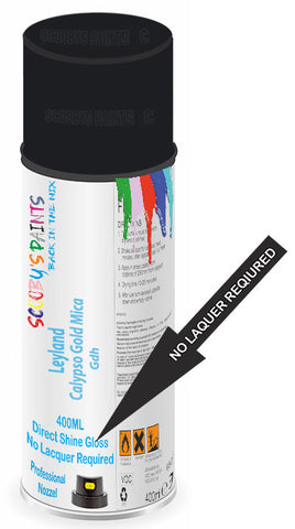 paint for Leyland All