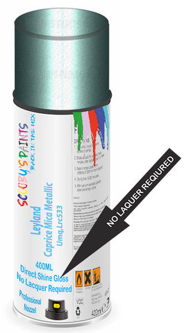 paint for Leyland All