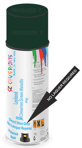 paint for Leyland All