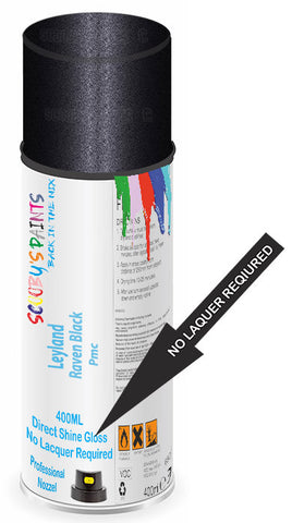 paint for Leyland All
