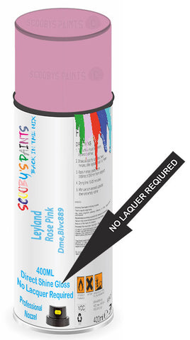 paint for Leyland All