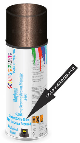 paint for Maybach 