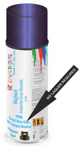 paint for Maybach 