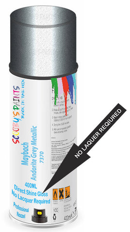 paint for Maybach 