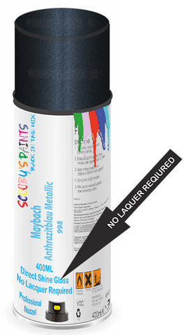 paint for Maybach 