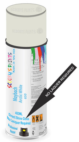 paint for Maybach 