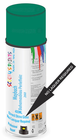 paint for Maybach 