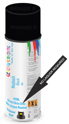 paint for Maybach 