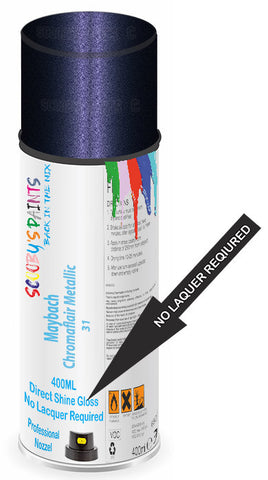 paint for Maybach 