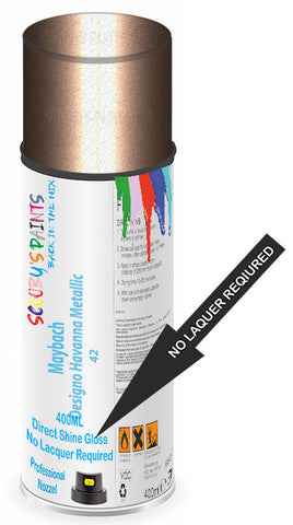paint for Maybach 