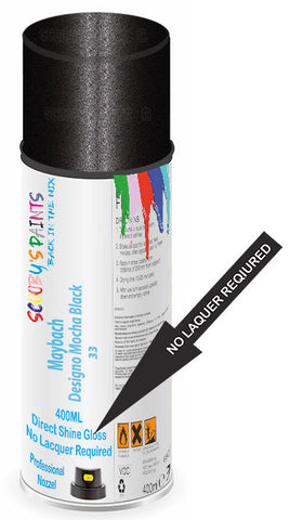 paint for Maybach 