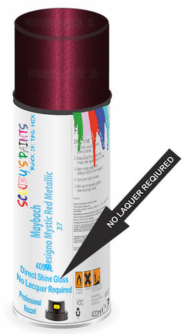 paint for Maybach 