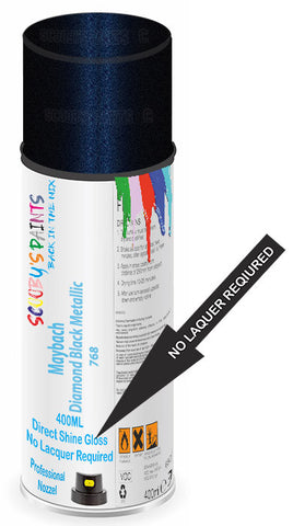 paint for Maybach 