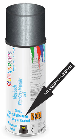 paint for Maybach 