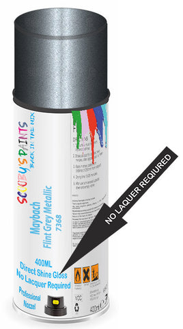 paint for Maybach 