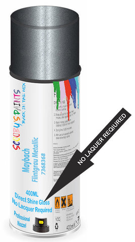 paint for Maybach S-Class