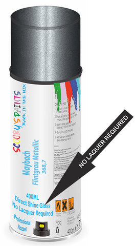 paint for Maybach S-Class