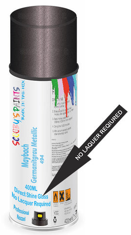 paint for Maybach 